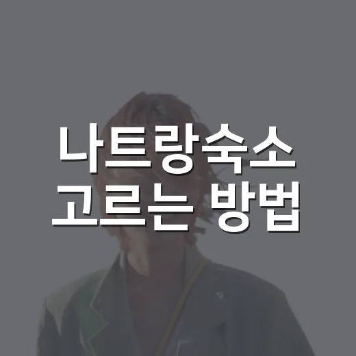 나트랑숙소 고르는 방법, 위치부터 예산까지 이렇게 잡으면 편해요 - 요약