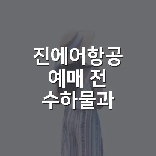 진에어항공 예매 전 수하물과 체크인 확인하는 방법 - 요약