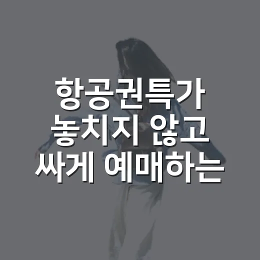 항공권특가 놓치지 않고 싸게 예매하는 방법 - 요약