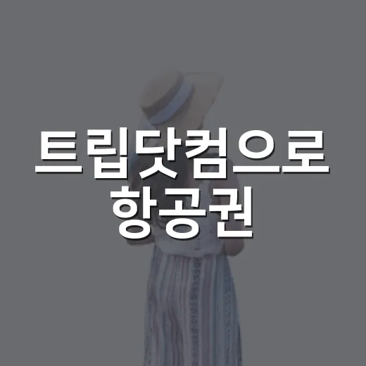 트립닷컴으로 항공권·호텔 예약할 때 덜 헤매는 방법 - 요약