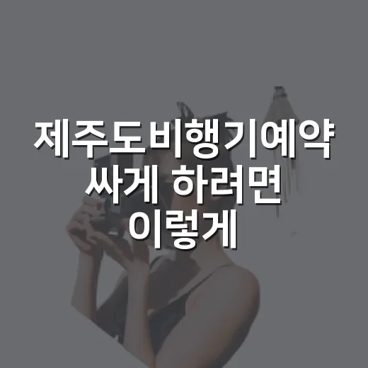 제주도비행기예약 싸게 하려면 이렇게 잡아보세요 - 요약