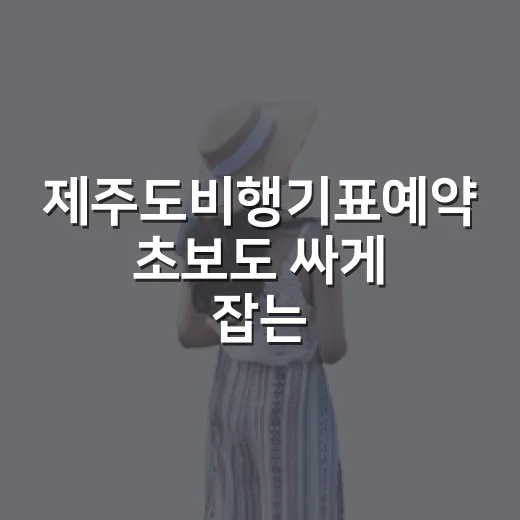 제주도비행기표예약 초보도 싸게 잡는 방법 - 요약