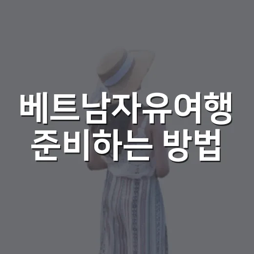 베트남자유여행 준비하는 방법, 초보자는 이렇게 짜면 편해요 - 요약