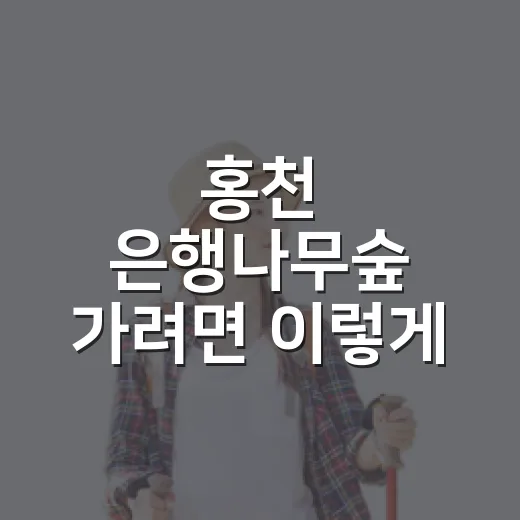 홍천 은행나무숲 가려면 이렇게 준비하면 편해요 - 요약