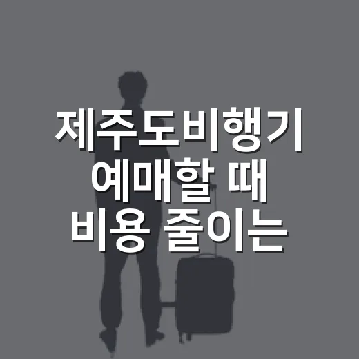 제주도비행기 예매할 때 비용 줄이는 방법 - 요약