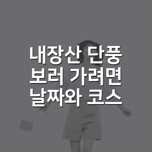내장산 단풍 보러 가려면 날짜와 코스 이렇게 고르세요 - 요약