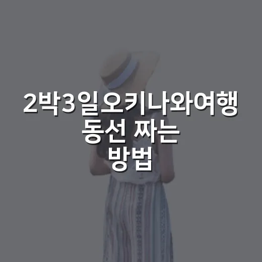 2박3일오키나와여행 동선 짜는 방법 - 요약