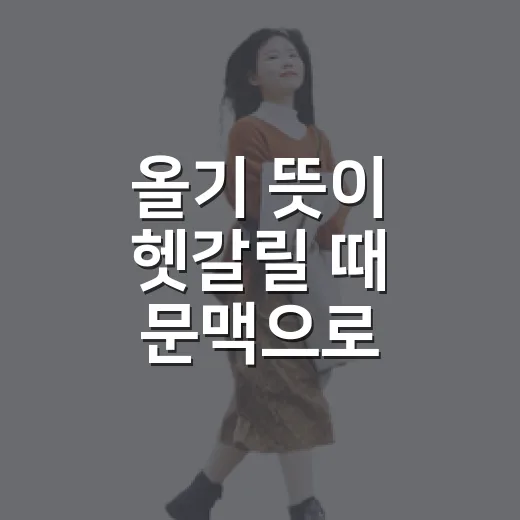 올기 뜻이 헷갈릴 때 문맥으로 구별하는 방법 - 요약