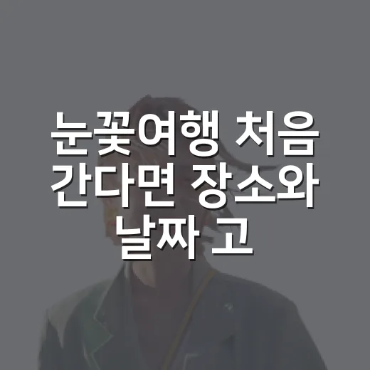 눈꽃여행 처음 간다면 장소와 날짜 고르는 방법 - 요약