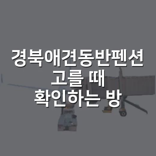 경북애견동반펜션 고를 때 확인하는 방법 - 요약