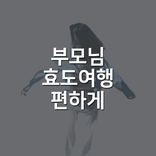 부모님 효도여행 편하게 준비하는 방법 - 요약