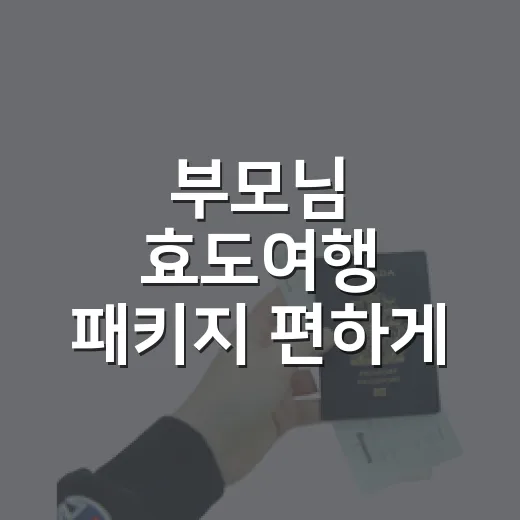 부모님 효도여행 패키지 편하게 고르는 방법 - 요약