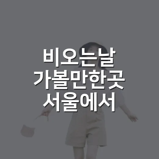비오는날 가볼만한곳 서울에서 고르는 방법 - 요약