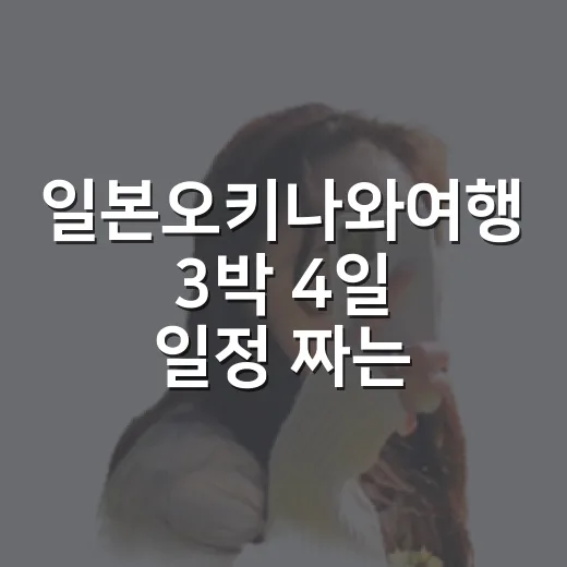 일본오키나와여행 3박 4일 일정 짜는 방법 - 요약