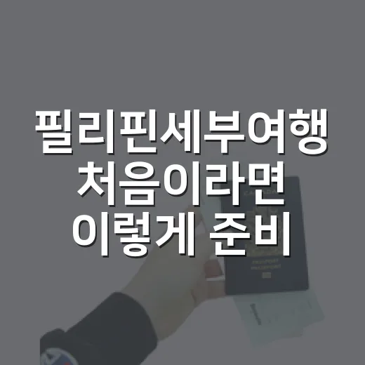 필리핀세부여행 처음이라면 이렇게 준비하는 방법 - 요약