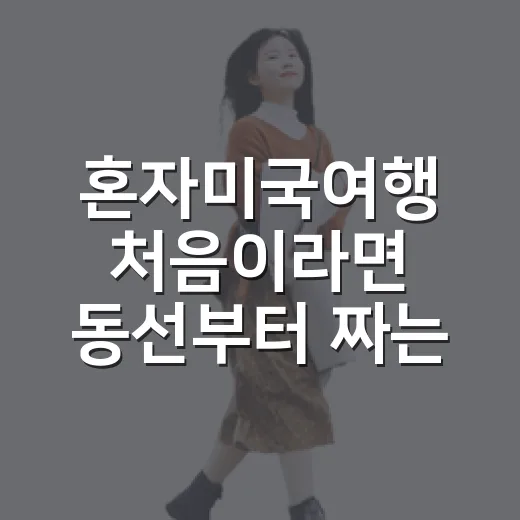 혼자미국여행 처음이라면 동선부터 짜는 방법 - 요약