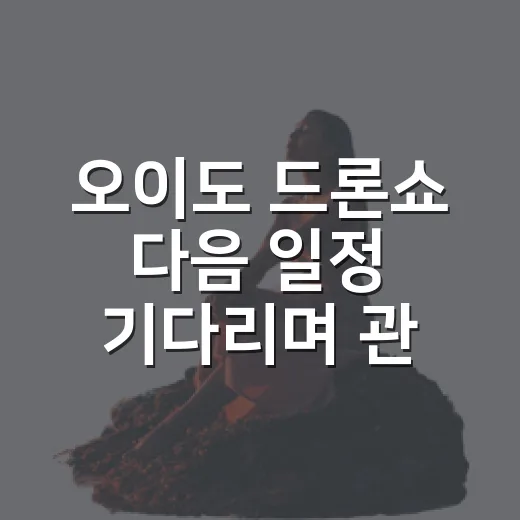 오이도 드론쇼 다음 일정 기다리며 관람 준비하는 방법 - 요약