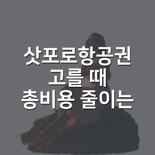 삿포로항공권 고를 때 총비용 줄이는 방법 - 요약