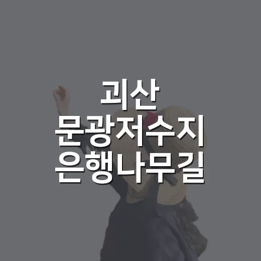 괴산 문광저수지 은행나무길 즐기는 방법 - 요약