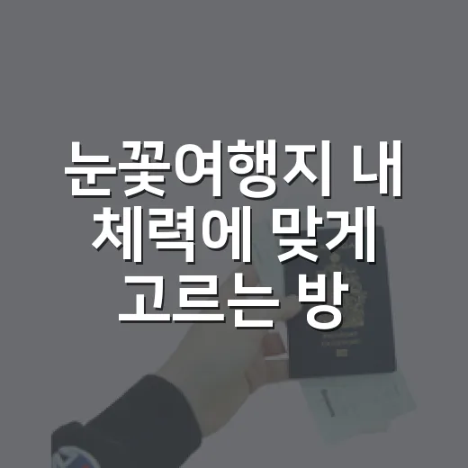 눈꽃여행지 내 체력에 맞게 고르는 방법 - 요약