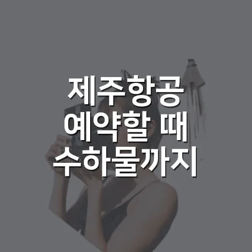 제주항공 예약할 때 수하물까지 비교하는 방법 - 요약