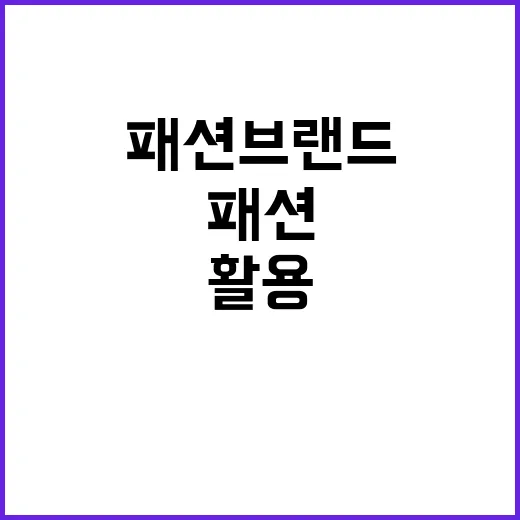 국내 패션 브랜드를 알아보고 활용하는 방법 - 요약