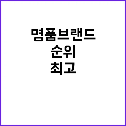 최고의 명품 브랜드를 순위로 알아보는 방법 - 요약
