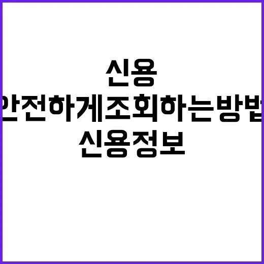 신용정보를 안전하게…