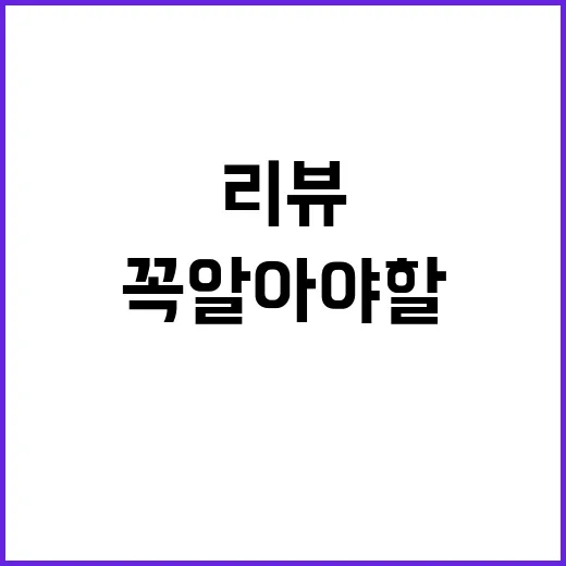 솔직한 리뷰: 제품 선택할 때 꼭 알아야 할 팁 - 요약
