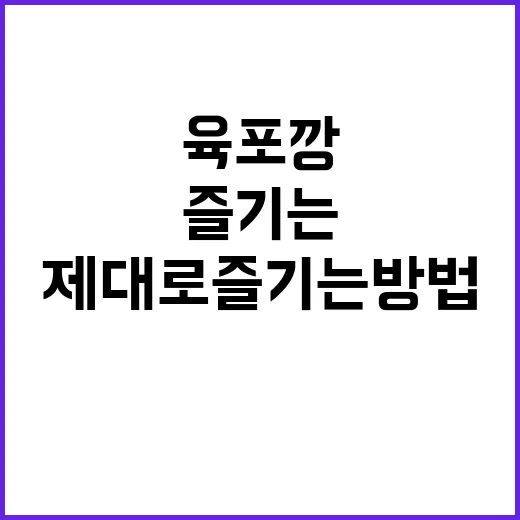 육포깡, 이렇게 맛있을 줄이야! 육포깡 제대로 즐기는 방법 - 요약