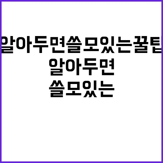 레딜: 알아두면 쓸모 있는 꿀팁 - 요약