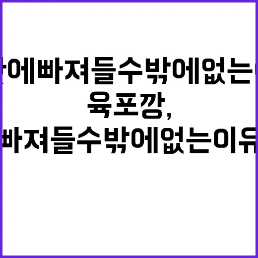 육포깡, 이 맛에 빠져들 수밖에 없는 이유 - 요약