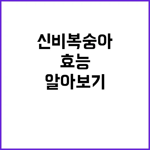 신비복숭아의 매력과 건강 효능 알아보기 - 요약
