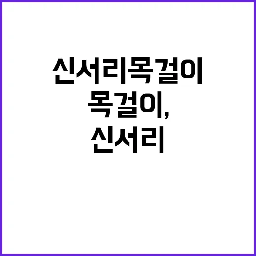 신서리 목걸이, 특별한 매력을 발견하는 방법 - 요약