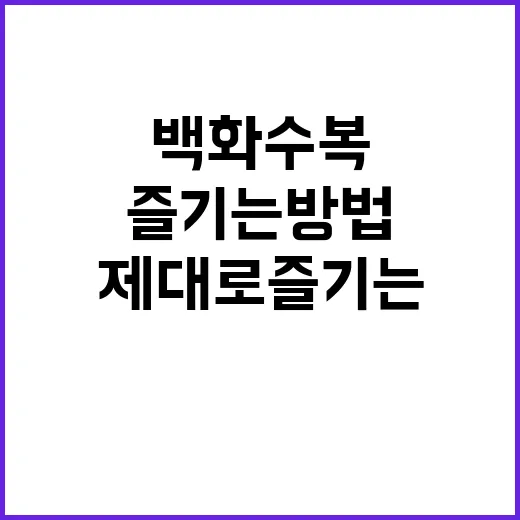 백화수복의 매력: 제대로 즐기는 방법 - 요약