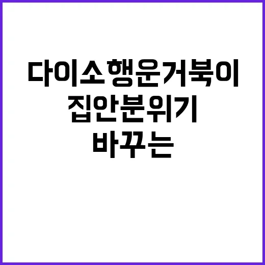 다이소 행운거북이로 집안 분위기 바꾸는 방법 - 요약