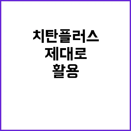 치탄플러스 제대로 활용하는 방법 - 요약