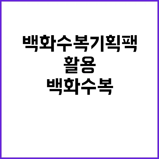 백화수복 기획팩 활용하는 방법 - 요약