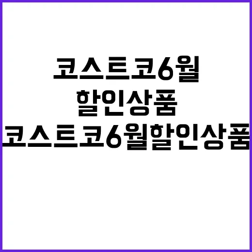 코스트코 6월 할인상품을 제대로 활용하는 방법 - 요약