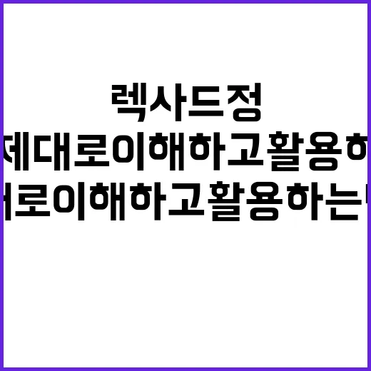 렉사드정을 제대로 이해하고 활용하는 방법 - 요약