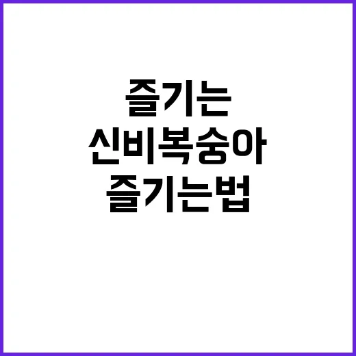 신비복숭아 제대로 즐기는 법 - 요약