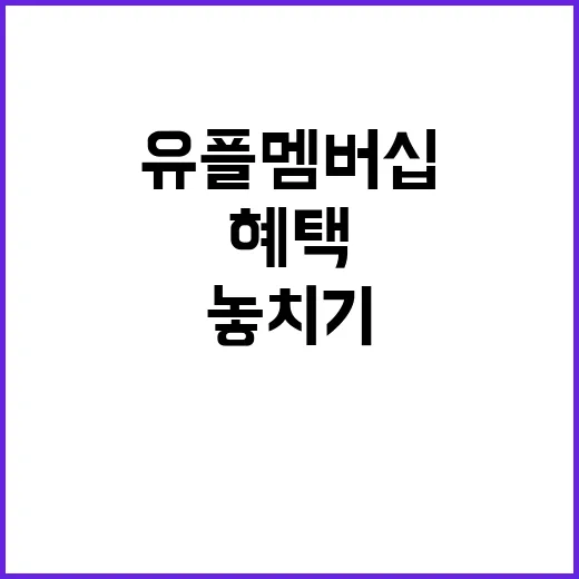 유플멤버십 활용법: 혜택부터 놓치기 쉬운 팁까지 - 요약