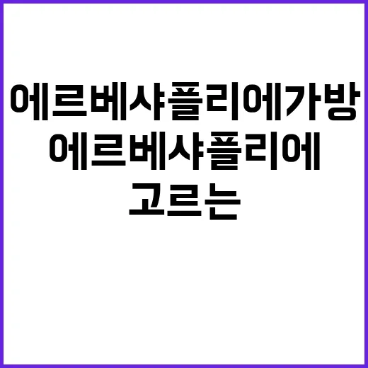 에르베 샤플리에 가방을 잘 고르는 방법 - 요약