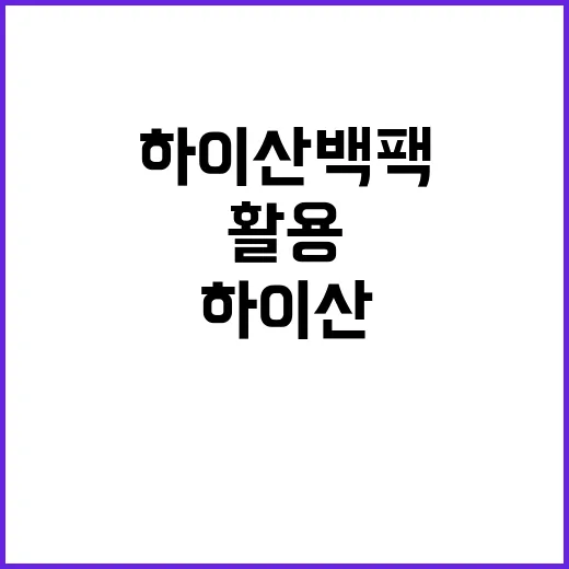 하이산 백팩 제대로 활용하는 방법 - 요약