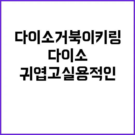 다이소 거북이 키링, 귀엽고 실용적인 매력 탐구 - 요약