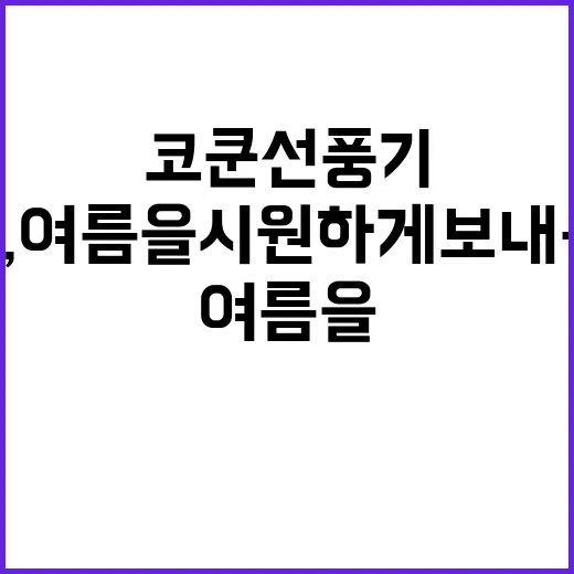 코쿤 선풍기, 여름을 시원하게 보내는 방법 - 요약