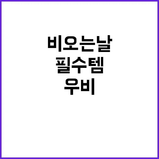다이소 우비, 비 오는 날의 필수템으로 자리 잡은 이유 - 요약