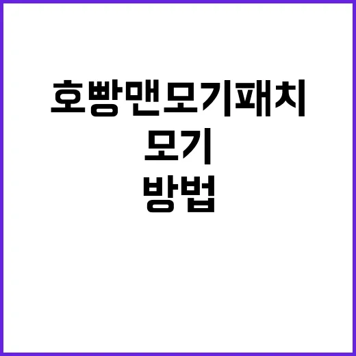 호빵맨 모기패치 활용하는 방법 - 요약
