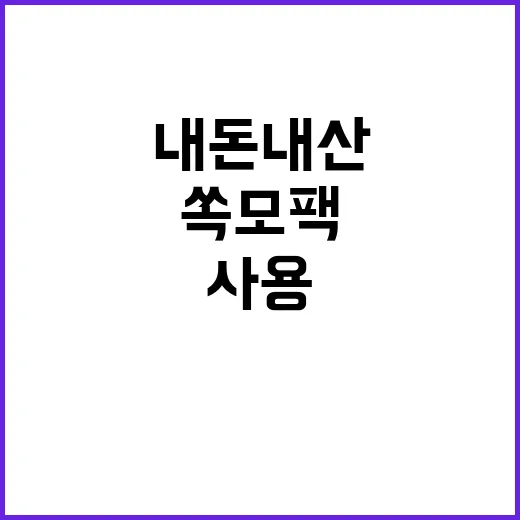 쏙모팩 내돈내산 후기: 직접 사용해본 솔직한 이야기 - 요약