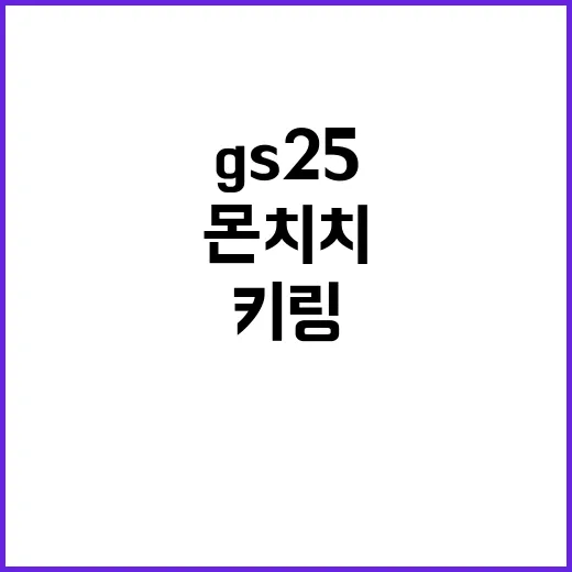 GS25에서 만나는 몬치치 키링의 매력 - 요약